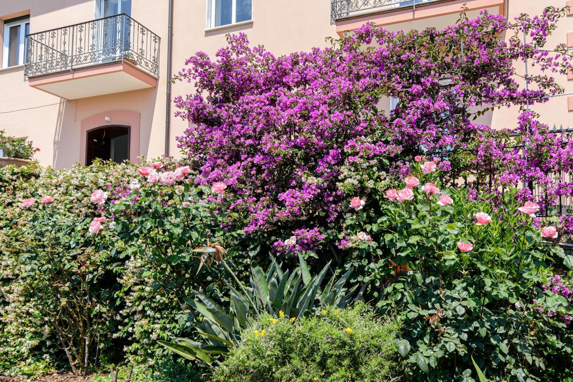 הוילה אגרופולי Casa Vittoria מראה חיצוני תמונה